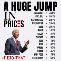 Huge Jump In Prices Joe Biden I Did That T-Shirt thumb 7