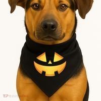 Halloween Jack O Lantern Jackolantern Pumpkin Face Costume USA-Made Doggie Bandana thumb 1