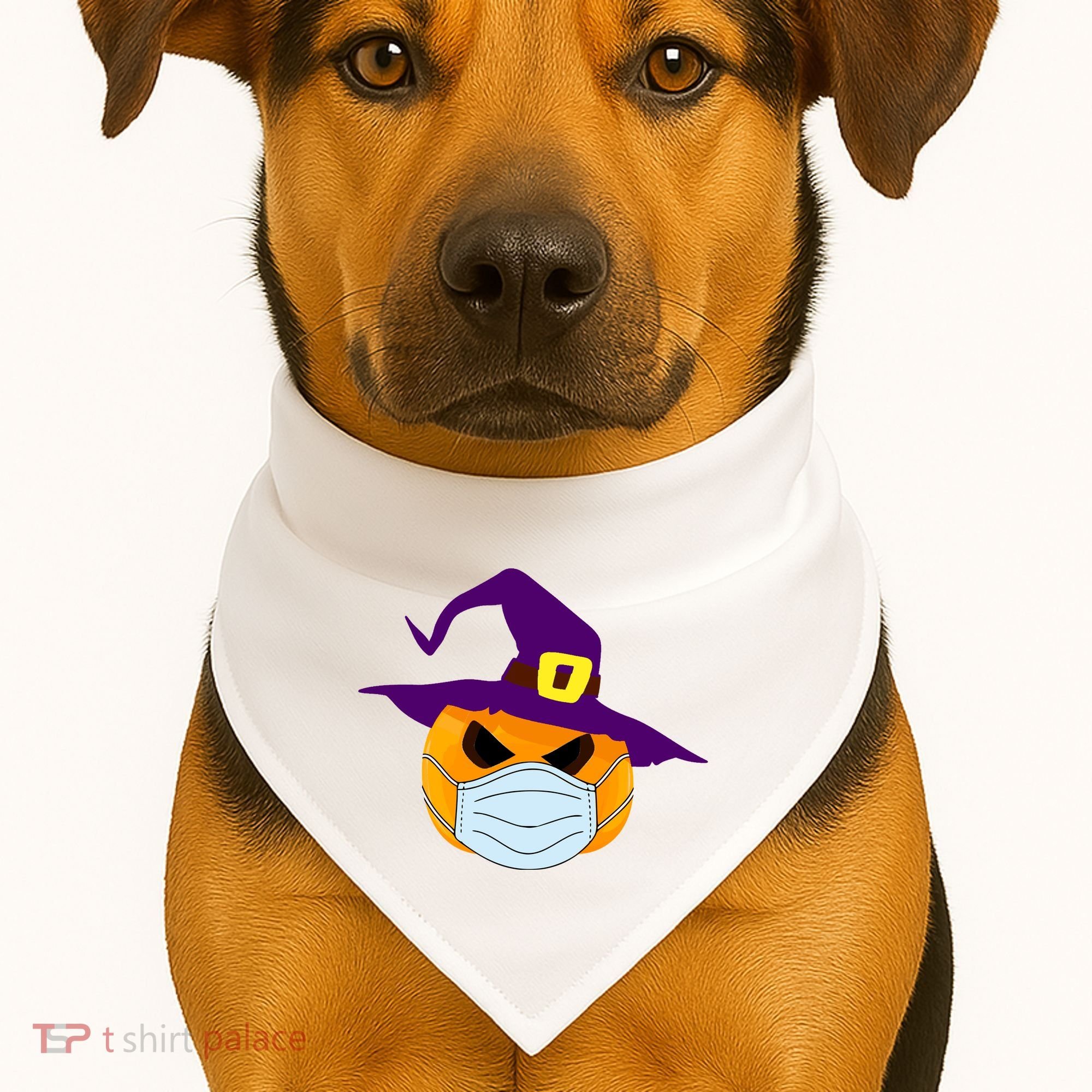 Halloween Jack O Lantern Masked Up USA-Made Doggie Bandana