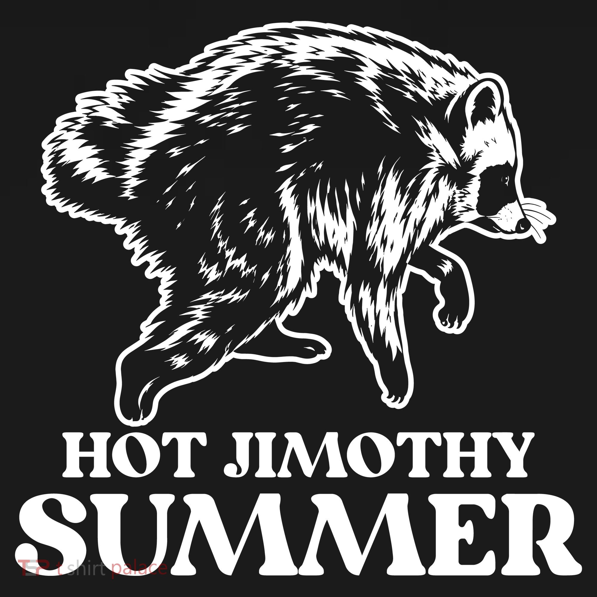 Hot Jimothy Summer Funny Raccoon Meme Coaster