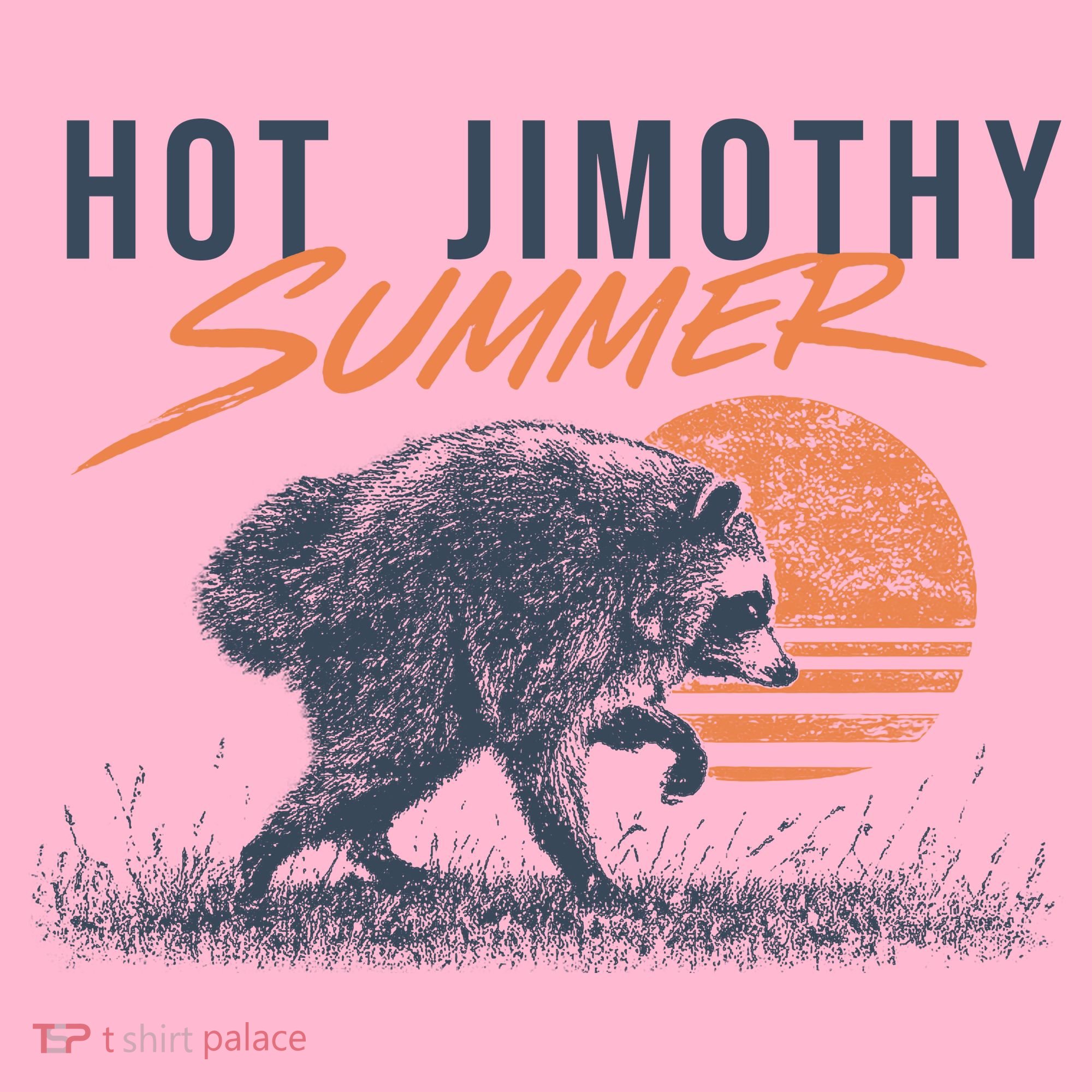 Hot Jimothy Summer Funny Viral Raccoon Meme Coaster