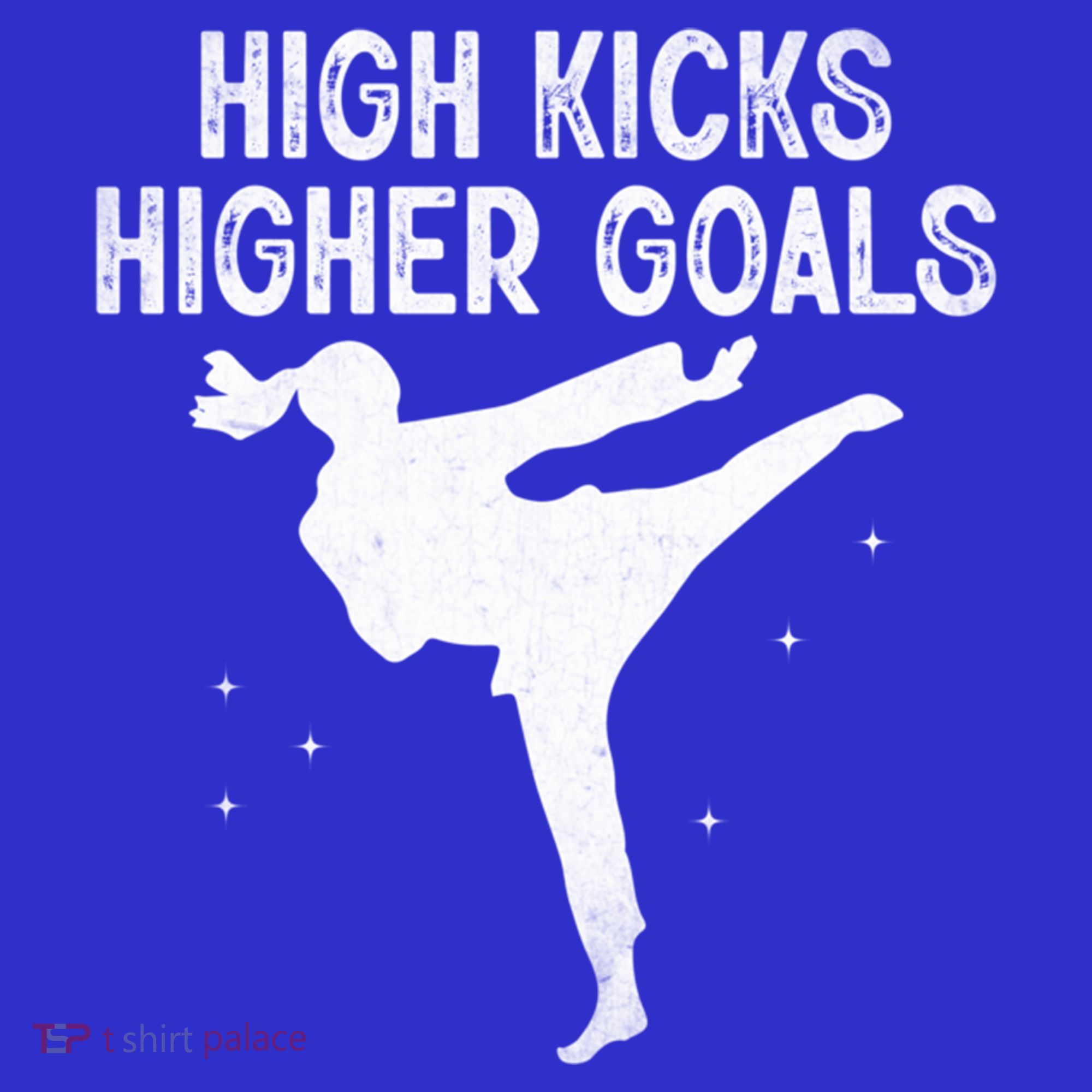 High Kicks Higher Goals Taekwondo Martial Arts Tkd Gift Women's Tank Top