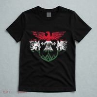 Hungary Lions And Eagle Symbol Hungarian Flag T-Shirt thumb 5