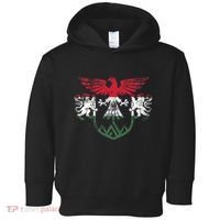Hungary Lions And Eagle Symbol Hungarian Flag Toddler Hoodie thumb 0