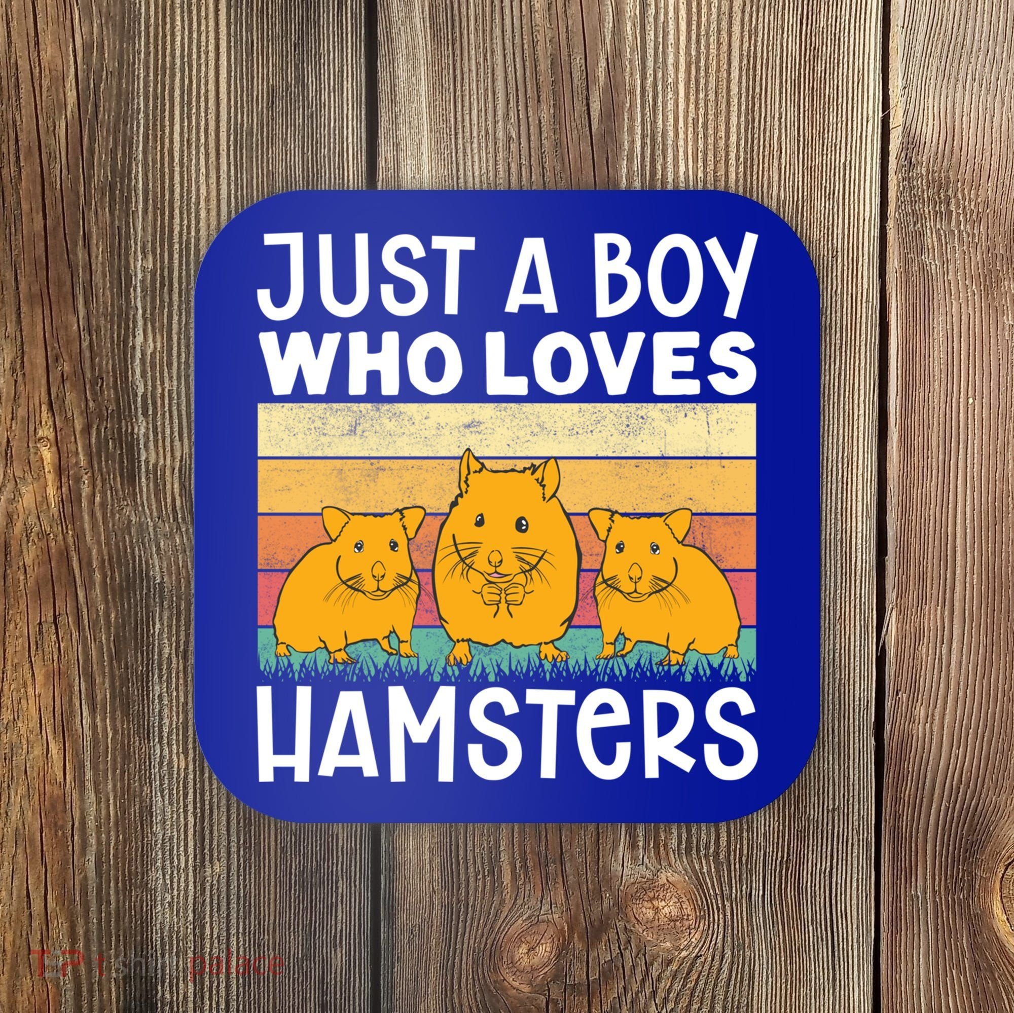 Hamster Lover Just A Boy Who Loves Hamsters Retro Hamster Gift Coaster