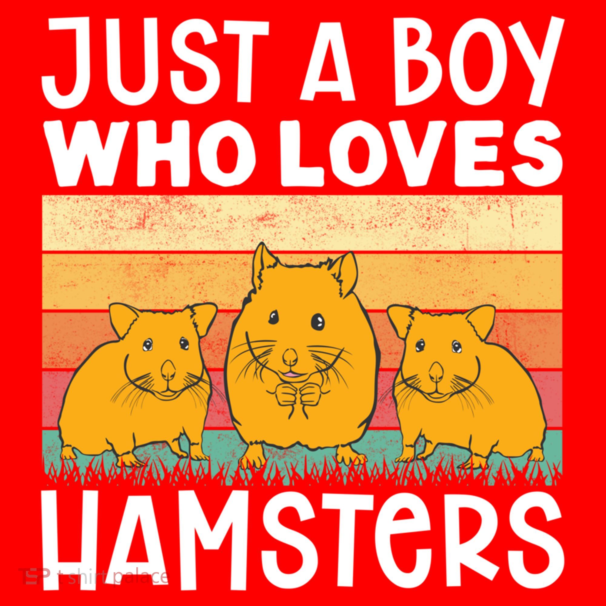 Hamster Lover Just A Boy Who Loves Hamsters Retro Hamster Gift Santa Hat