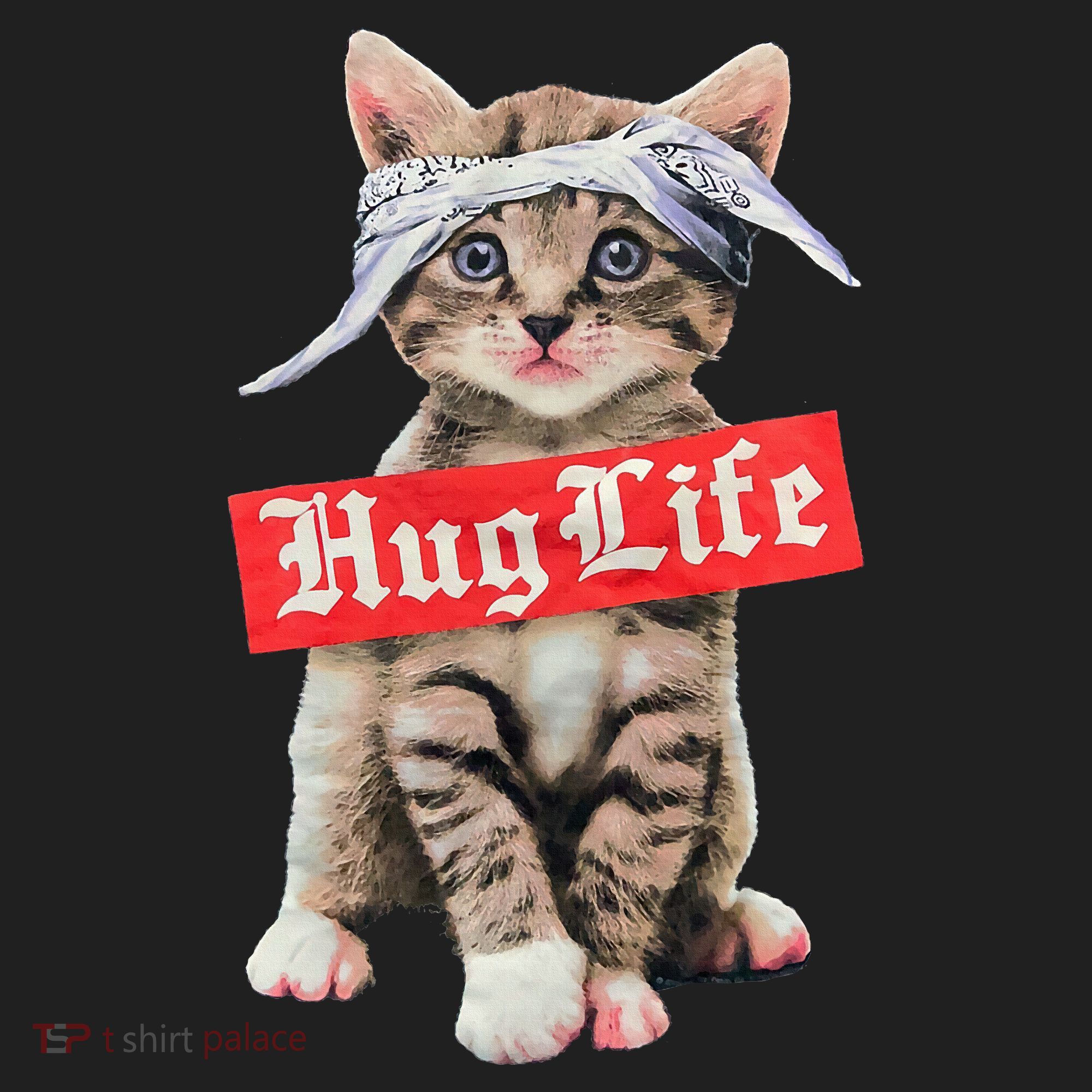 Hug Life Kitty Cat Hug Kitten Beanie