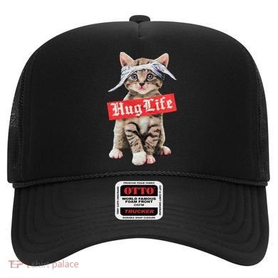 Hug Life Kitty Cat Hug Kitten Hat