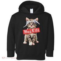 Hug Life Kitty Cat Hug Kitten Toddler Hoodie thumb 0