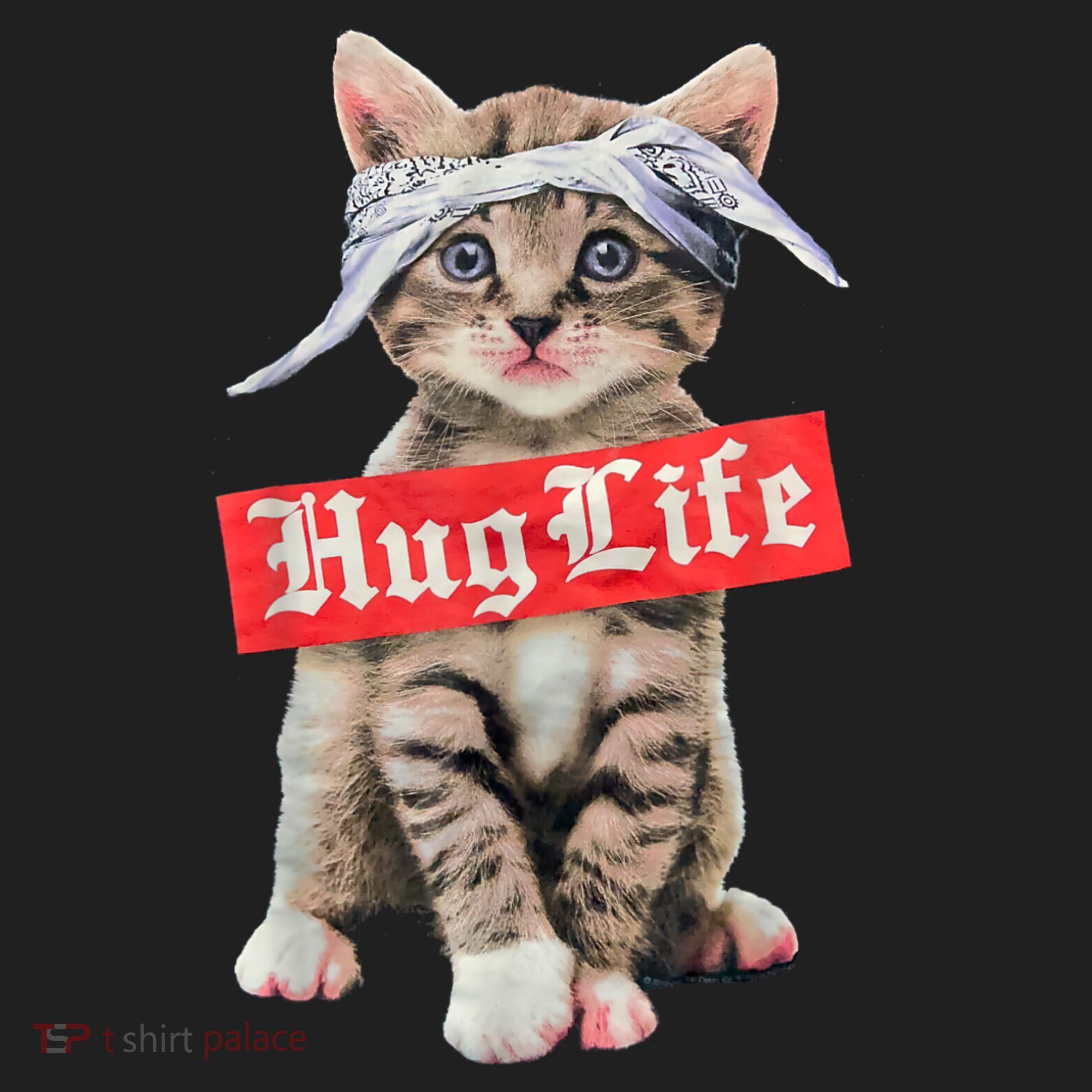 Hug Life Kitty Cat Hug Kitten Women's Sweatshirt
