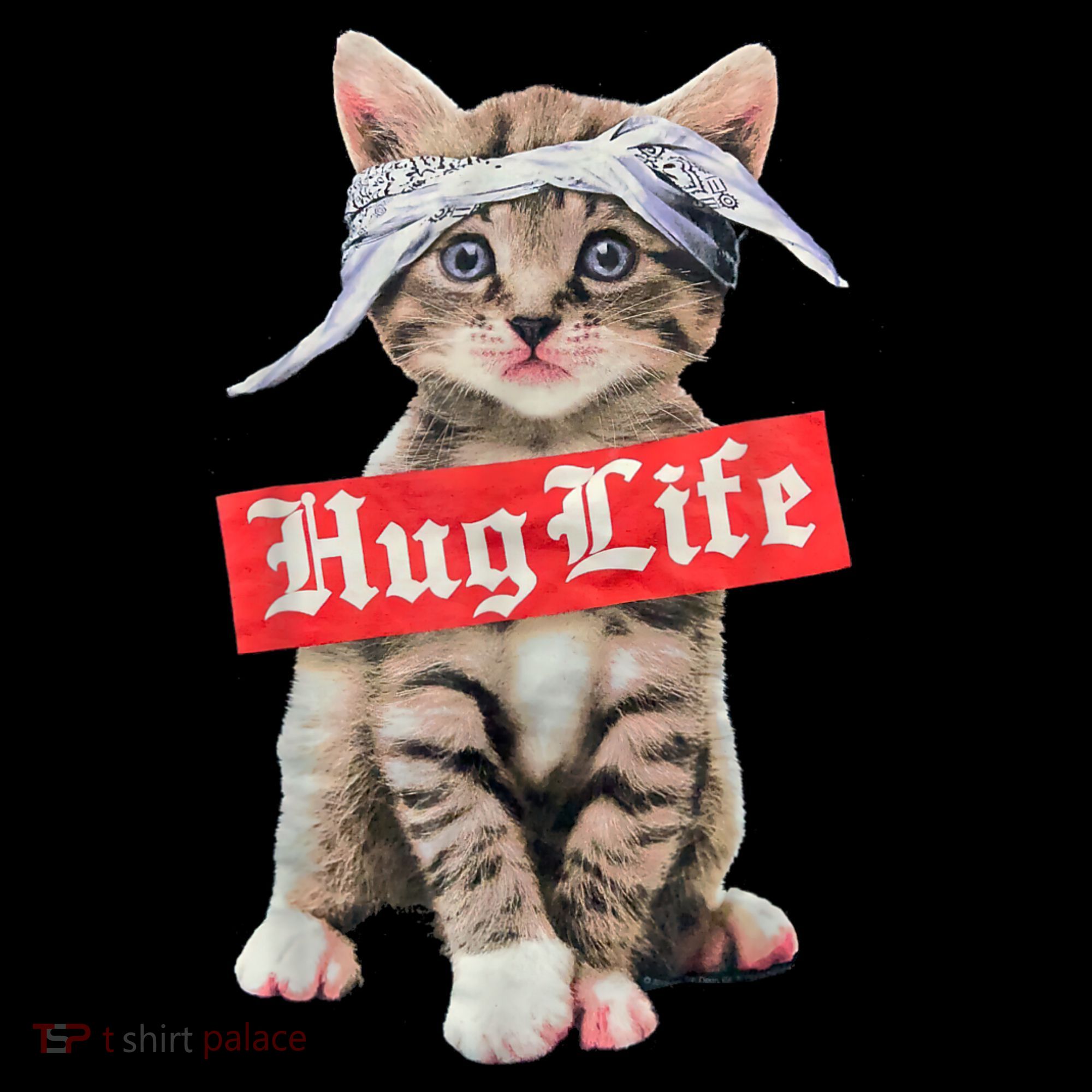 Hug Life Kitty Cat Hug Kitten Women's Hoodie