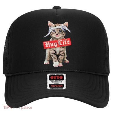 Hug Life Kitty Cat Hug Kitten Hat
