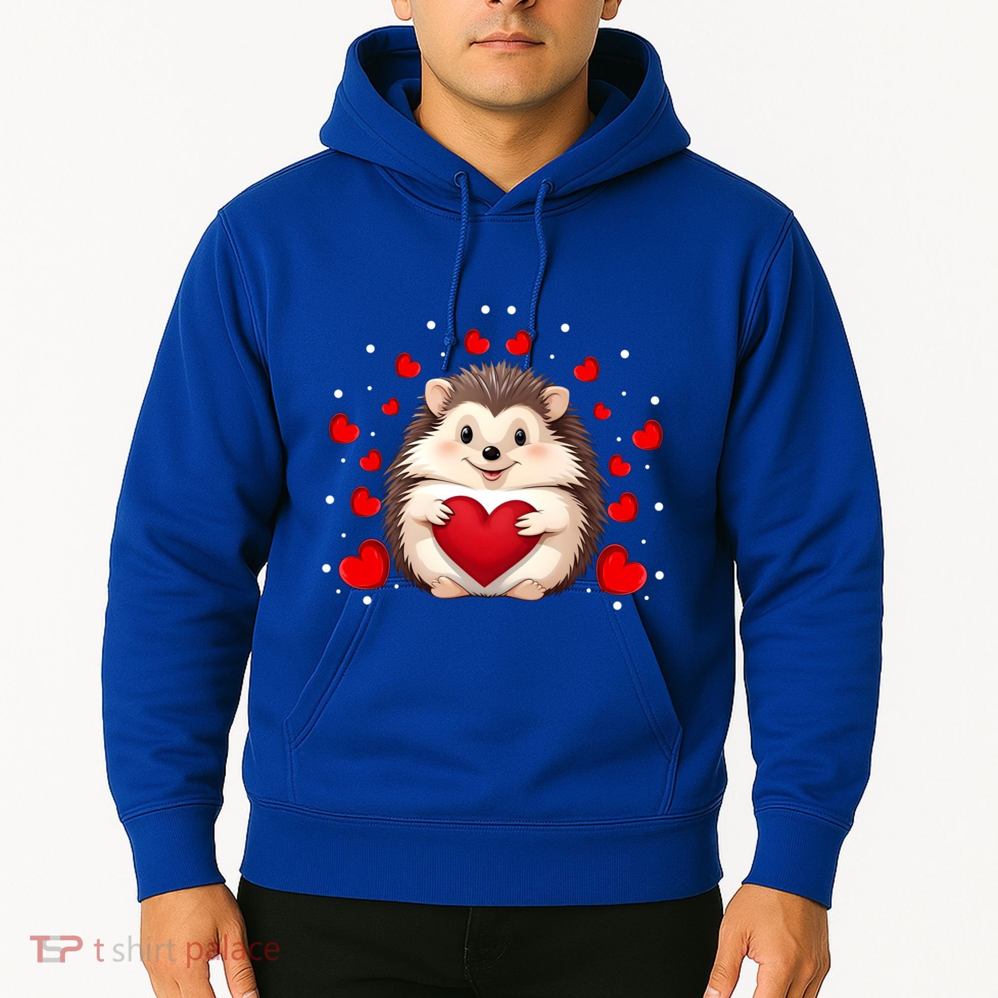 Hedgehog Lover Love Hearts Hedgehog Valentines Day Gift Hoodie