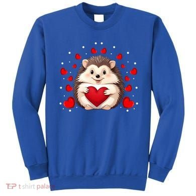 Hedgehog Lover Love Hearts Hedgehog Valentines Day Gift Sweatshirt