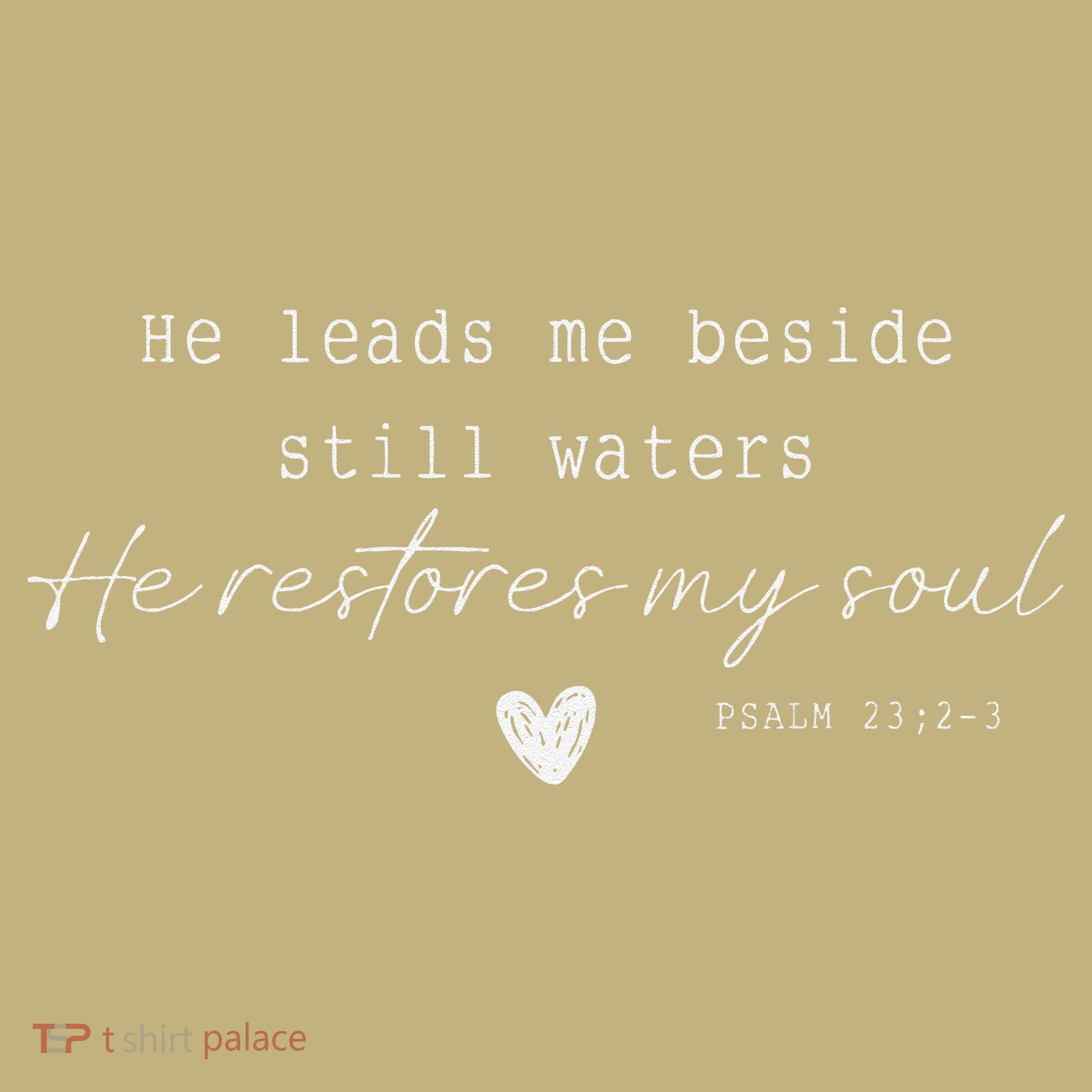 He Leads Me Beside Still Waters He Restores My Soul Hoodie