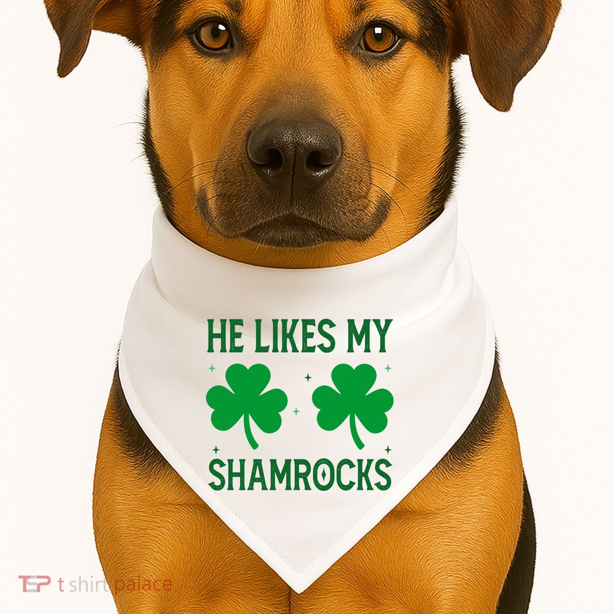 He Likes My Shamrocks Funny St Patricks Day USA-Made Doggie Bandana