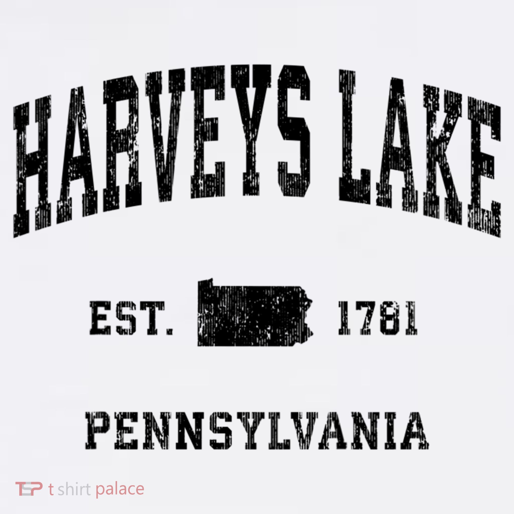 Harveys Lake Pennsylvania Pa Vintage Established Athletic Sports T-Shirt