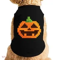 Halloween Master Builder Pumpkin Building Blocks Bricks Doggie Tank thumb 0