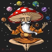 Hippie Mushroom Buddha Beanie thumb 2