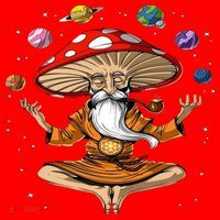 Hippie Mushroom Buddha Santa Hat thumb 1