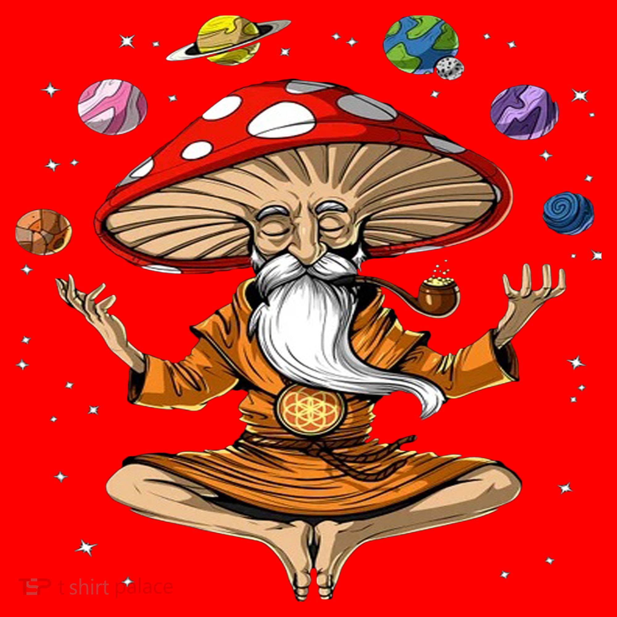 Hippie Mushroom Buddha Santa Hat