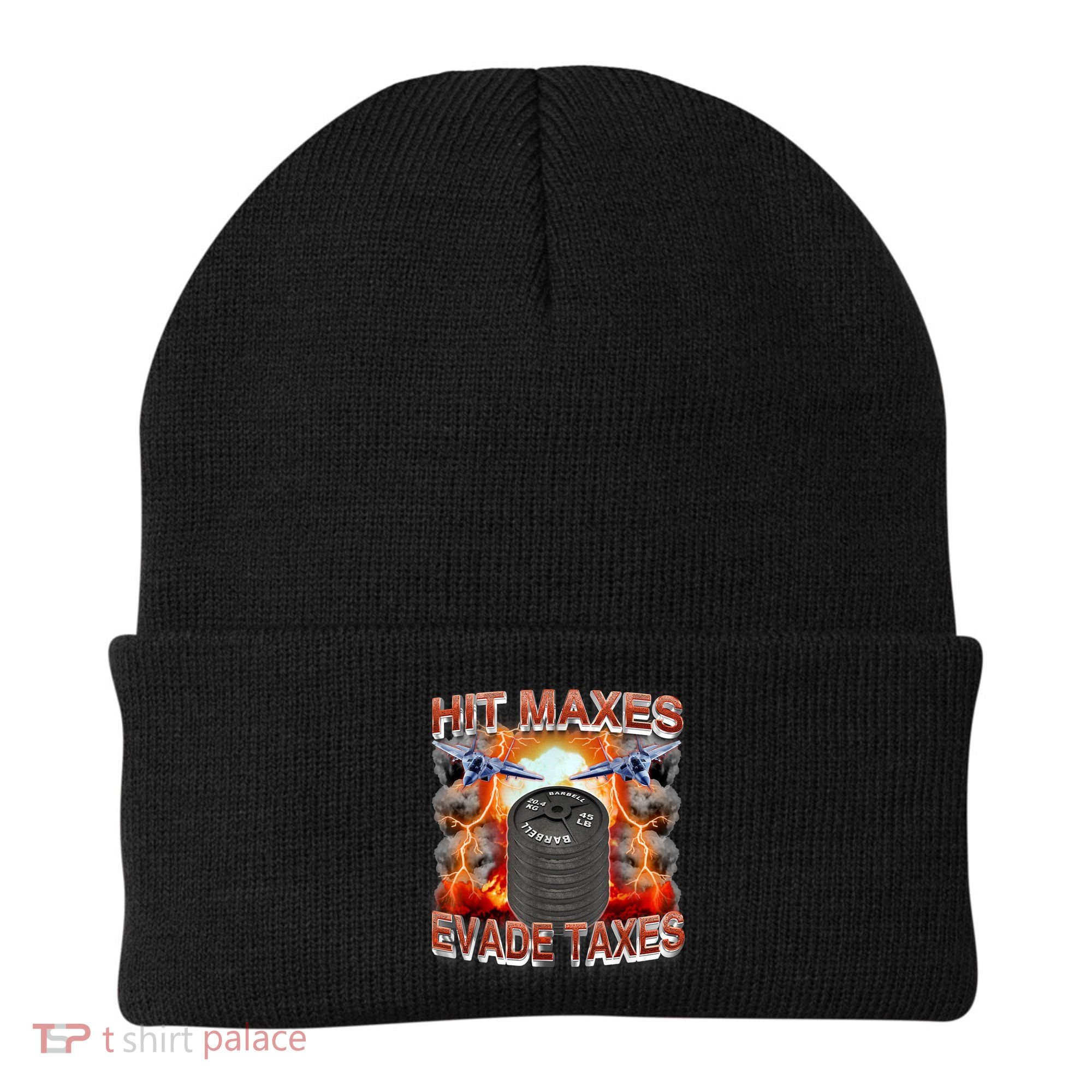 Hit Maxes Evade Taxes Beanie