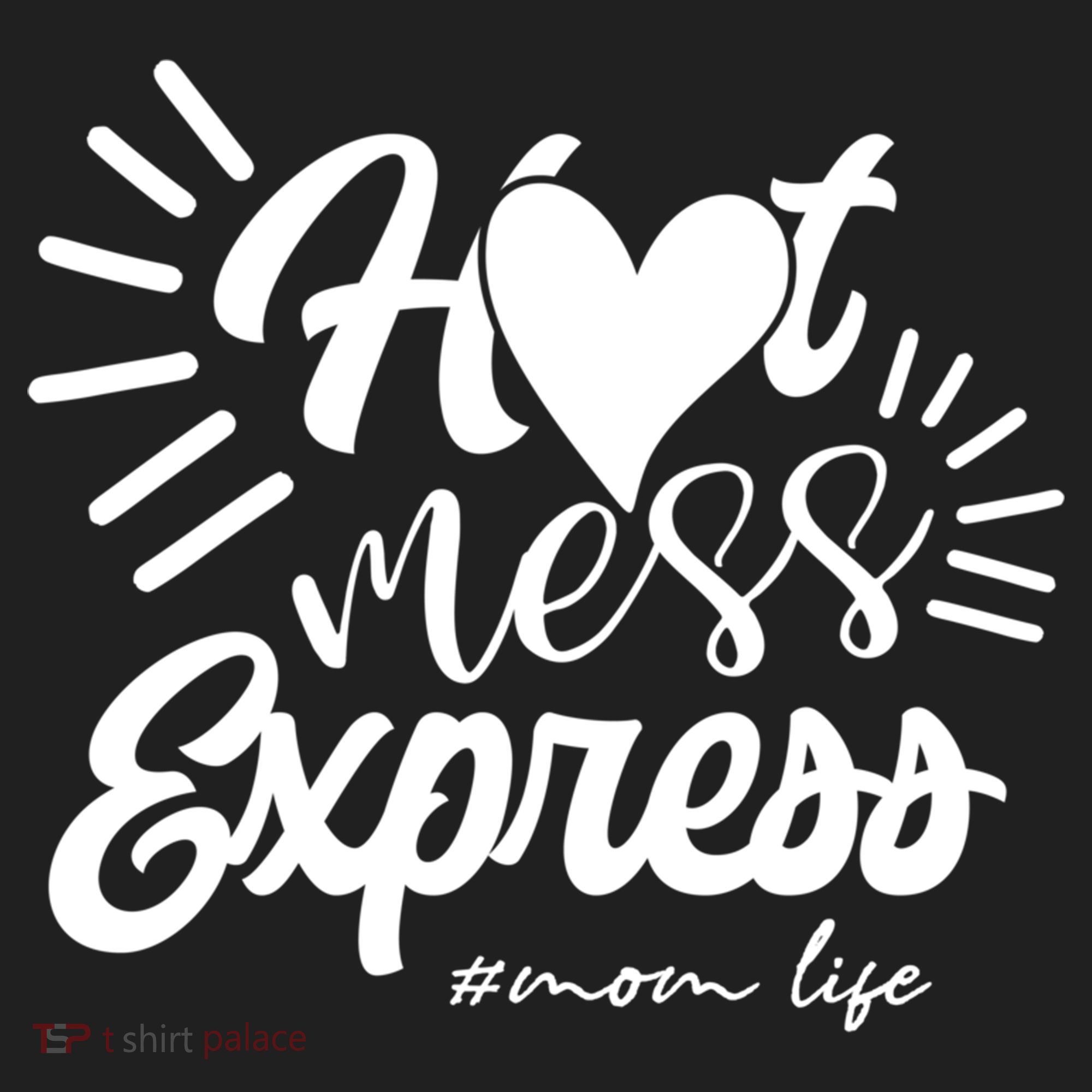 Hot Mess Express Mom Life Mother Gift Beanie