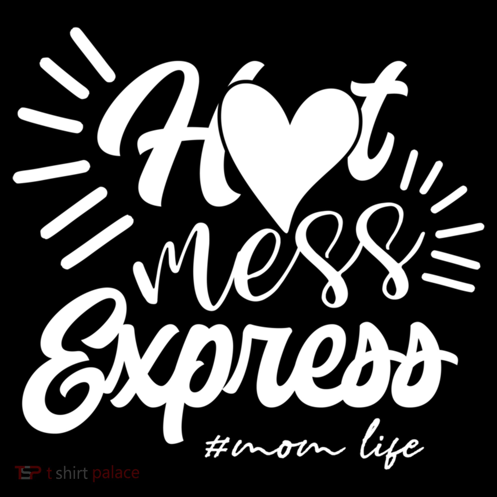 Hot Mess Express Mom Life Mother Gift Women's Hoodie