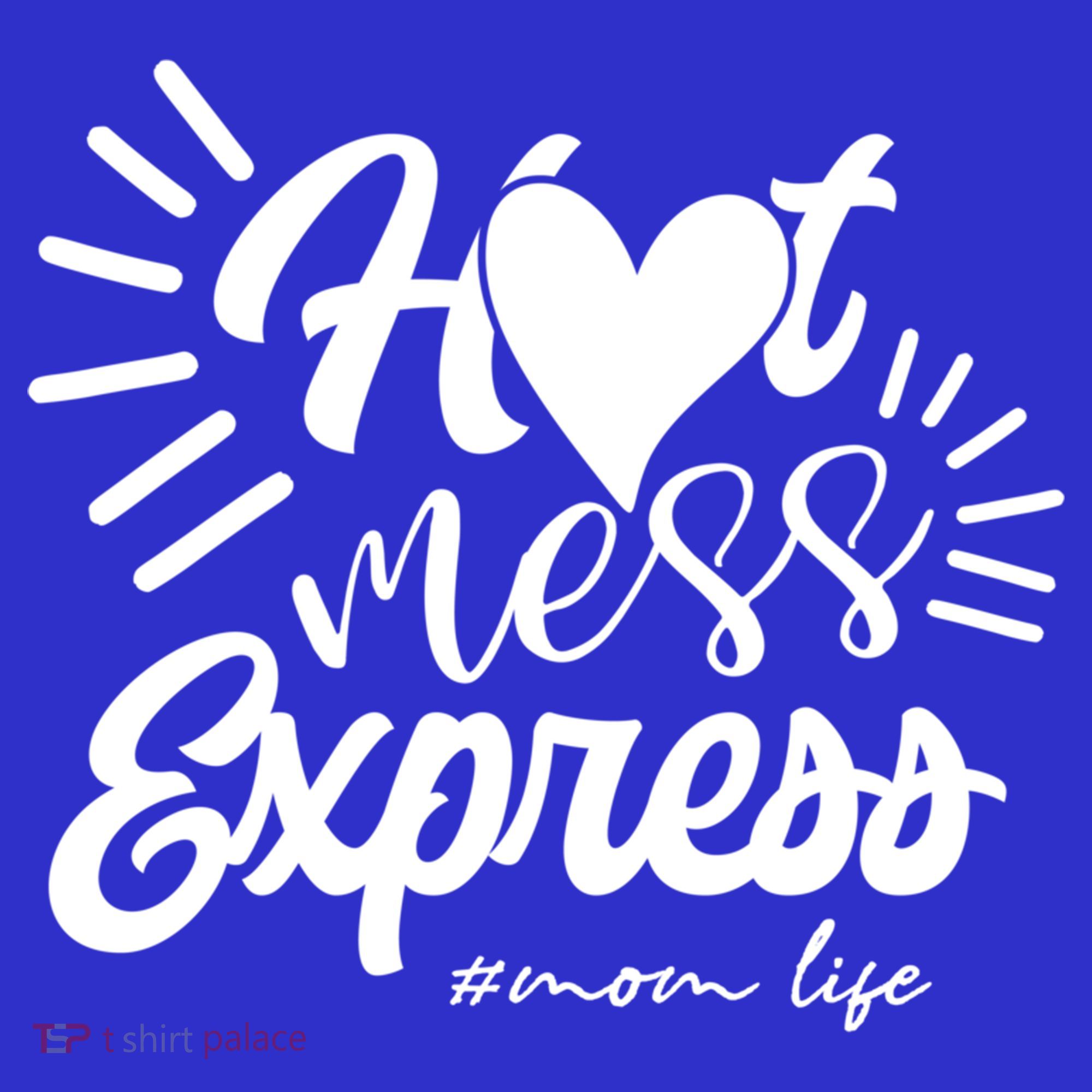 Hot Mess Express Mom Life Mother Gift Toddler Hoodie