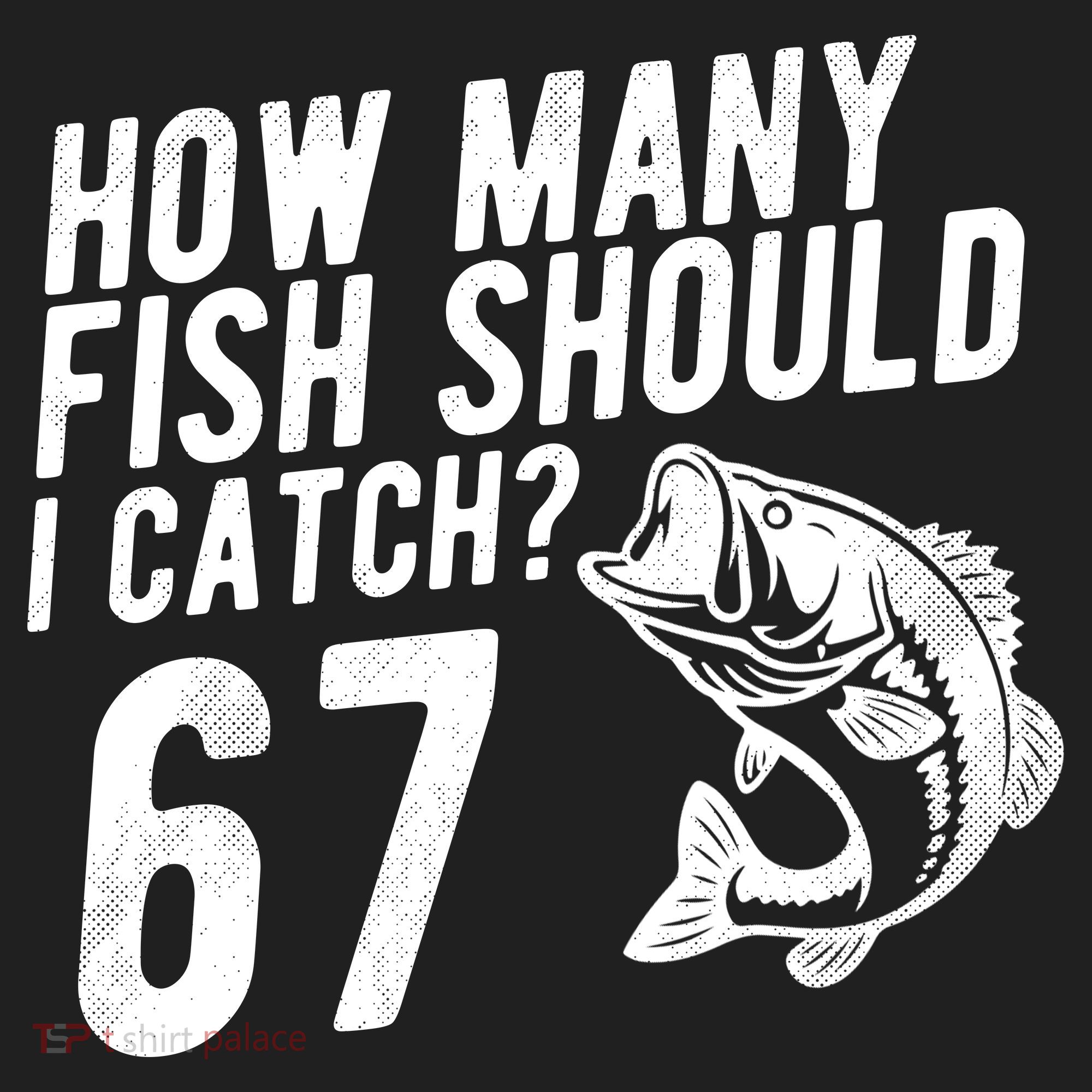 How Many Fish Should I Catch 67 6-7 Meme Funny Hat