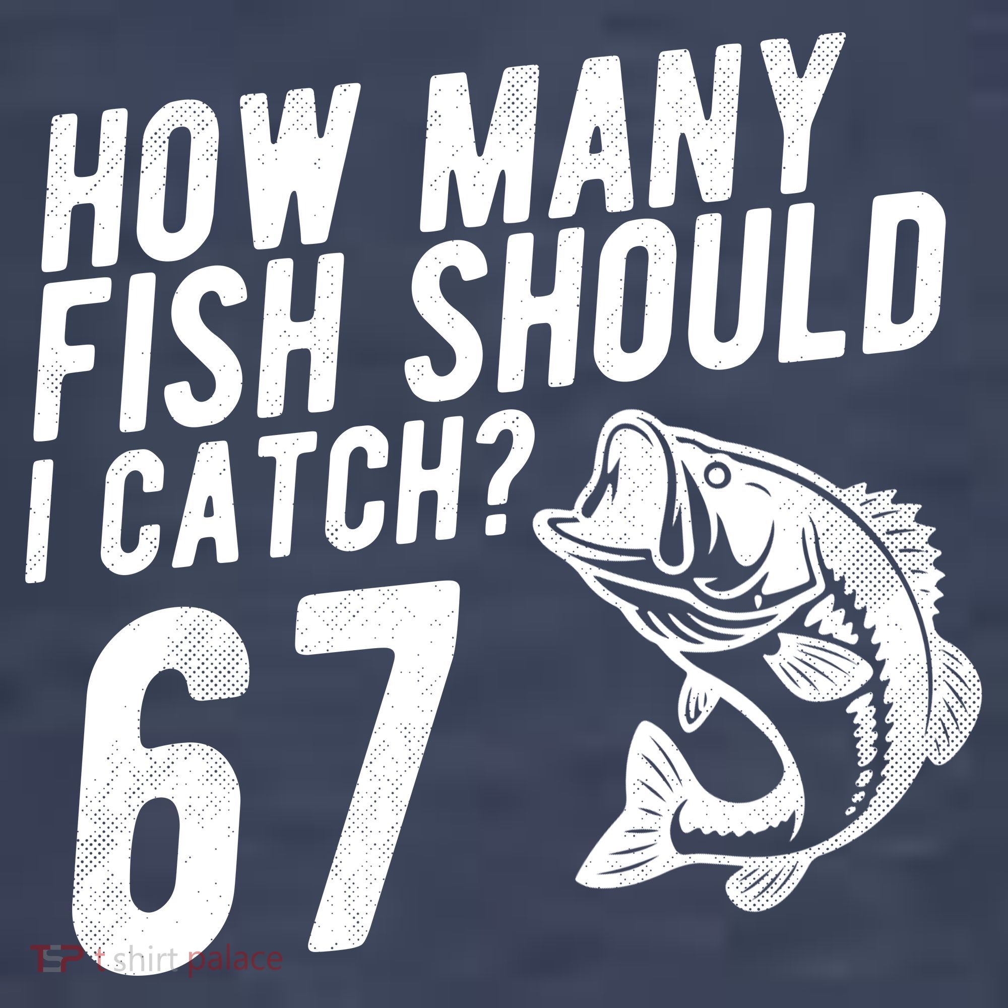How Many Fish Should I Catch 67 6-7 Meme Funny Sweatshirt