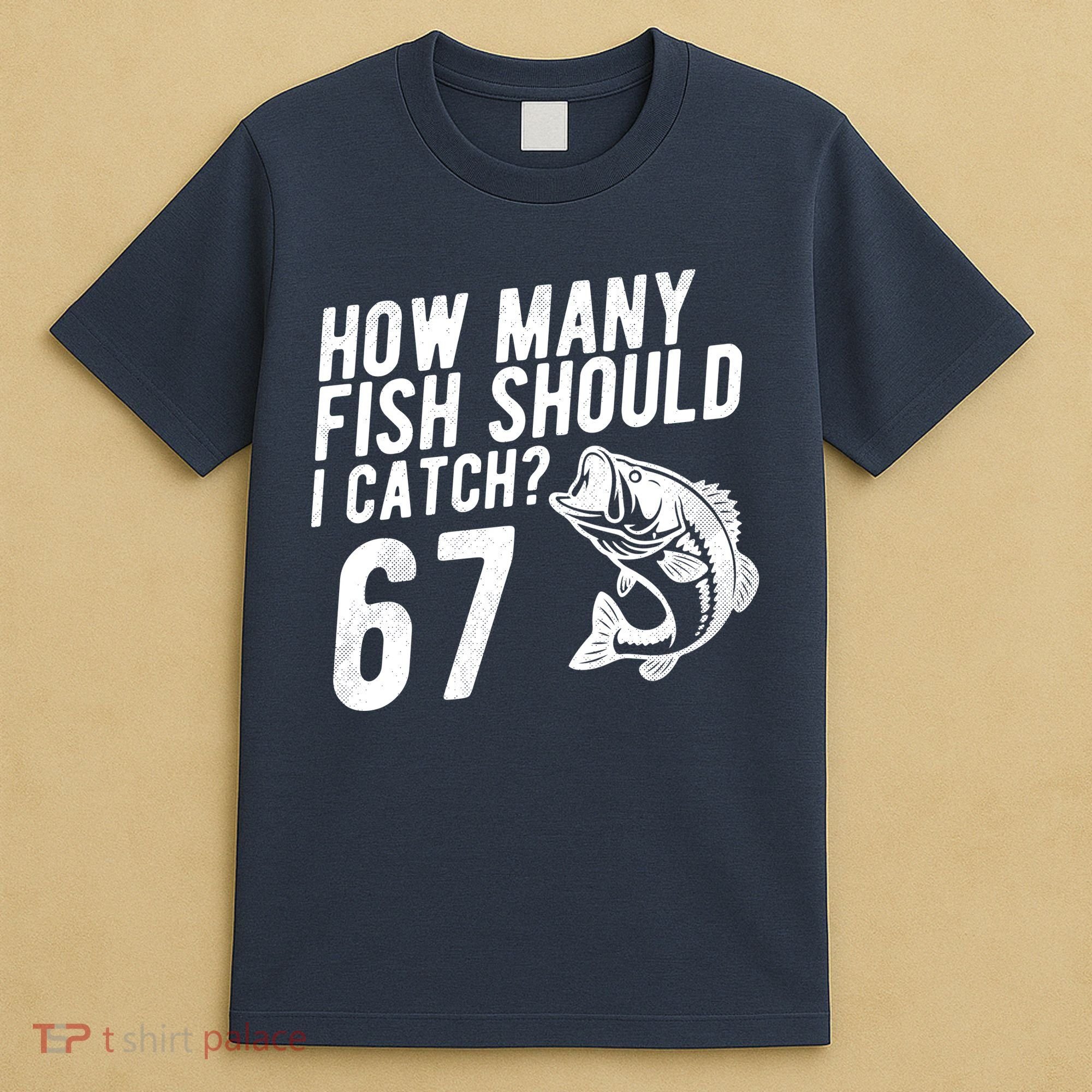 How Many Fish Should I Catch 67 6-7 Meme Funny T-Shirt