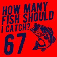 How Many Fish Should I Catch 67 6-7 Meme Funny Santa Hat thumb 1