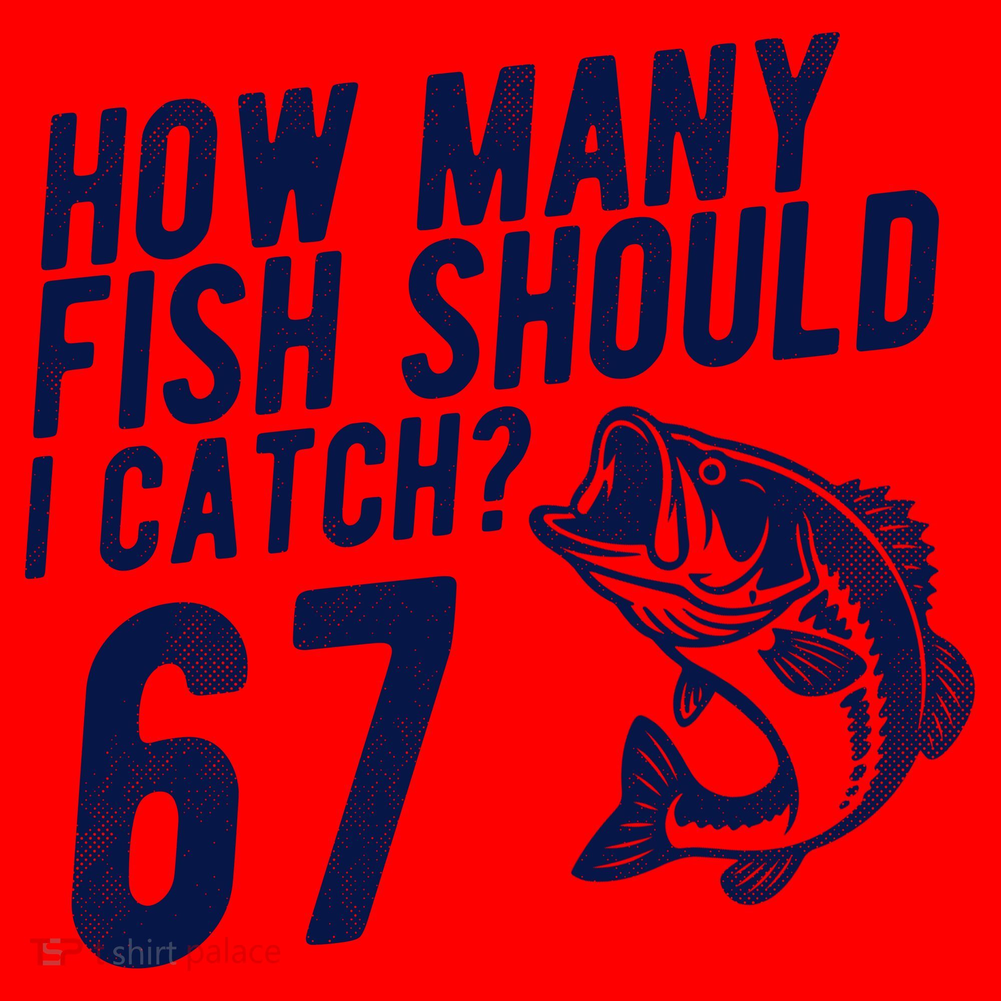 How Many Fish Should I Catch 67 6-7 Meme Funny Santa Hat