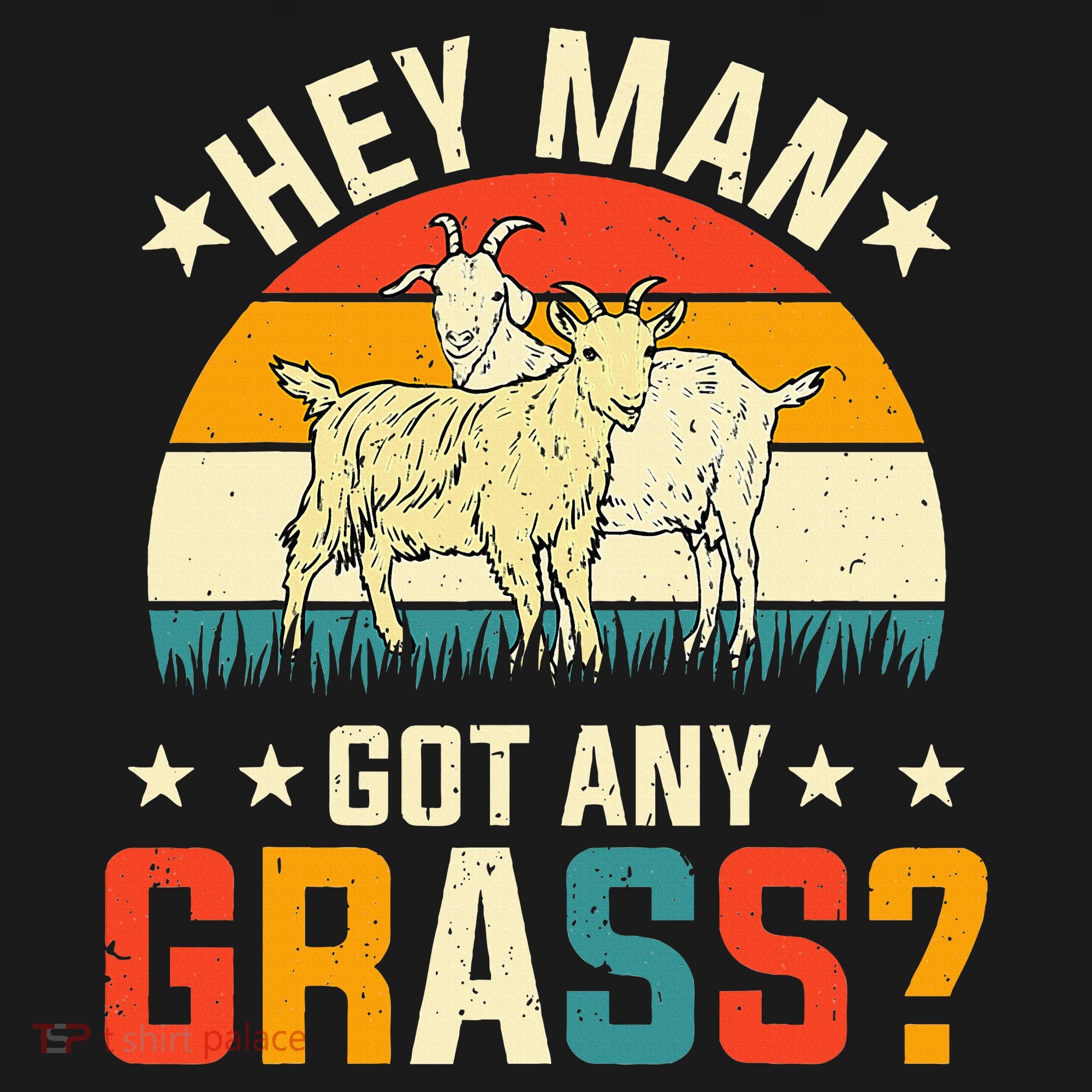 Hey Man Got Any Grass Farm Animal Pun Goat  Women's Hoodie