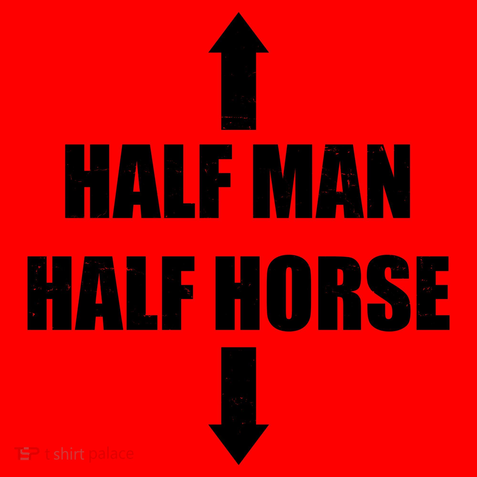 Half Man Half Horse Funny Santa Hat