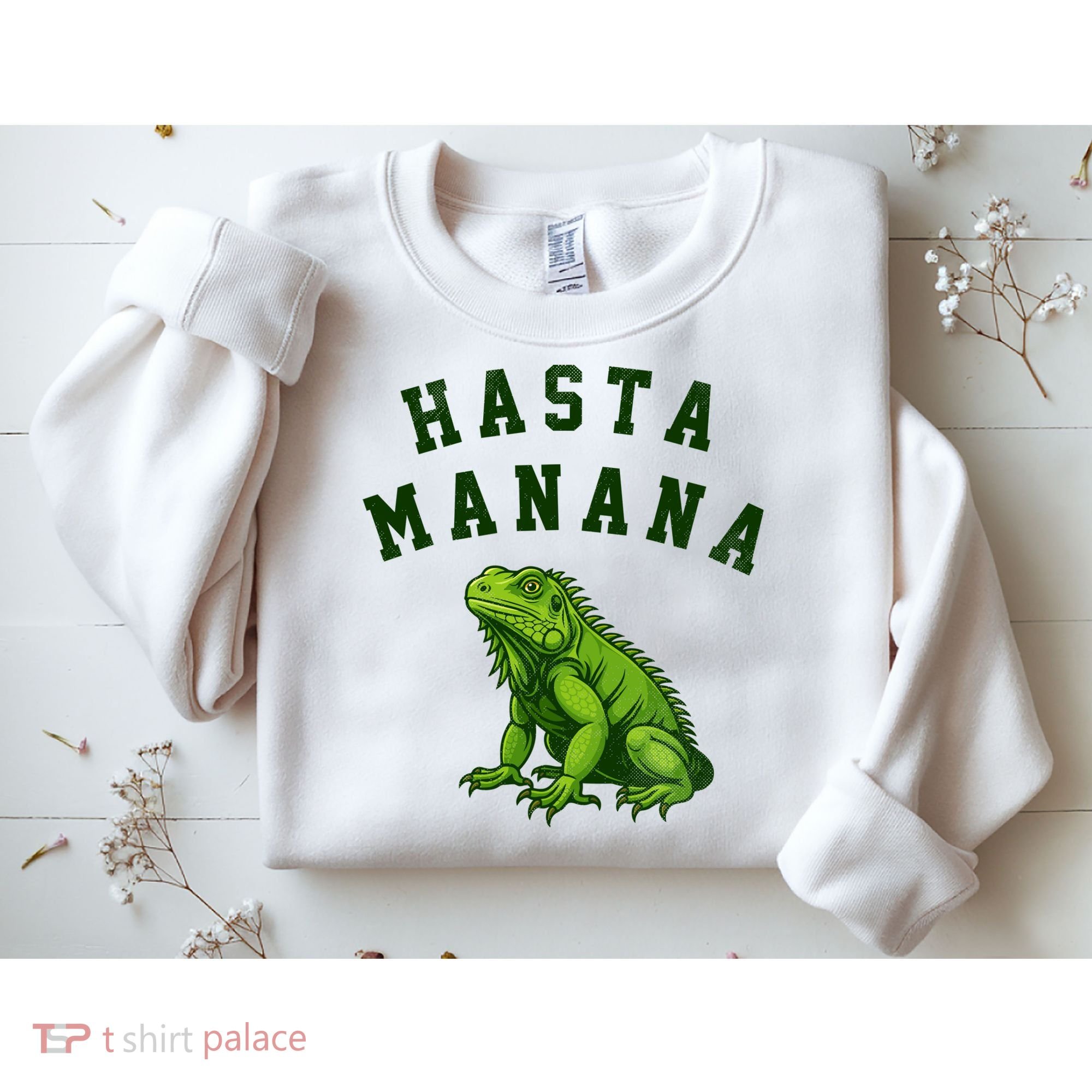 Hasta Manana Iguana Sweatshirt