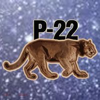 Hollywood Mountain Lion P22 Los Angeles Cougar Coaster thumb 2