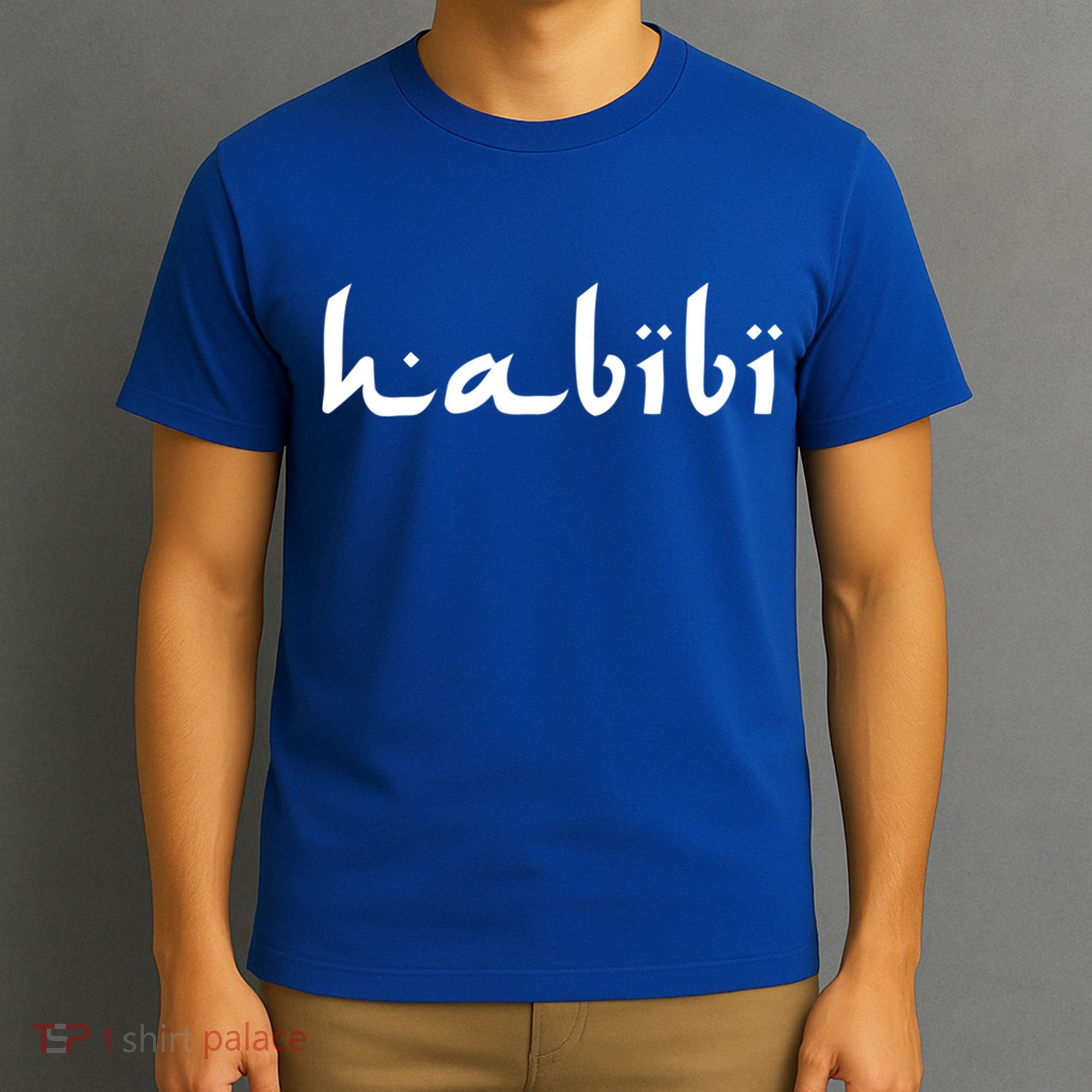 Habibi My Love Arabic English Scripgift Cute Gift T-Shirt