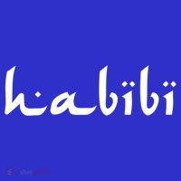 Habibi My Love Arabic English Scripgift Cute Gift T-Shirt thumb 7