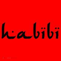 Habibi My Love Arabic English Scripgift Cute Gift Santa Hat thumb 1