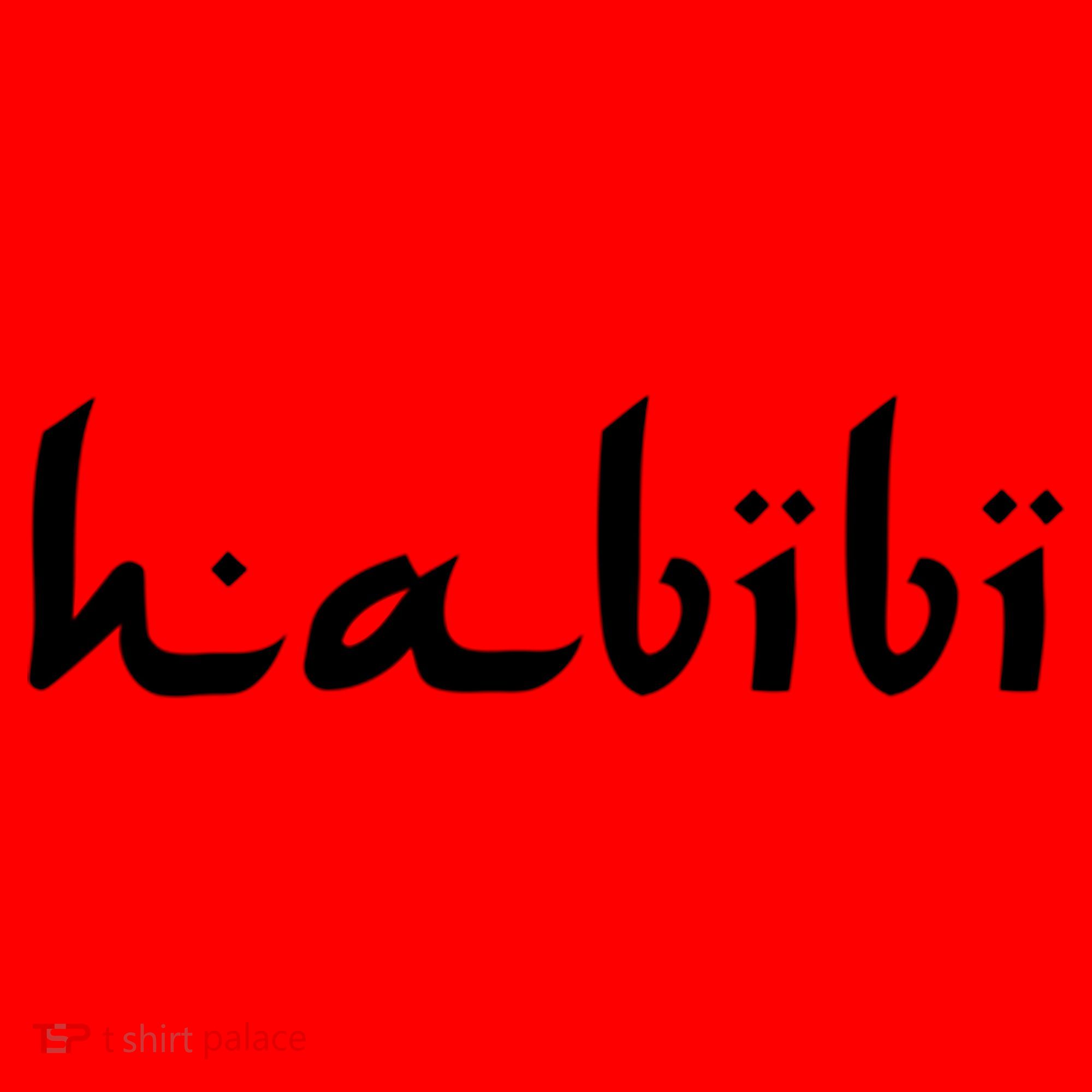 Habibi My Love Arabic English Scripgift Cute Gift Santa Hat