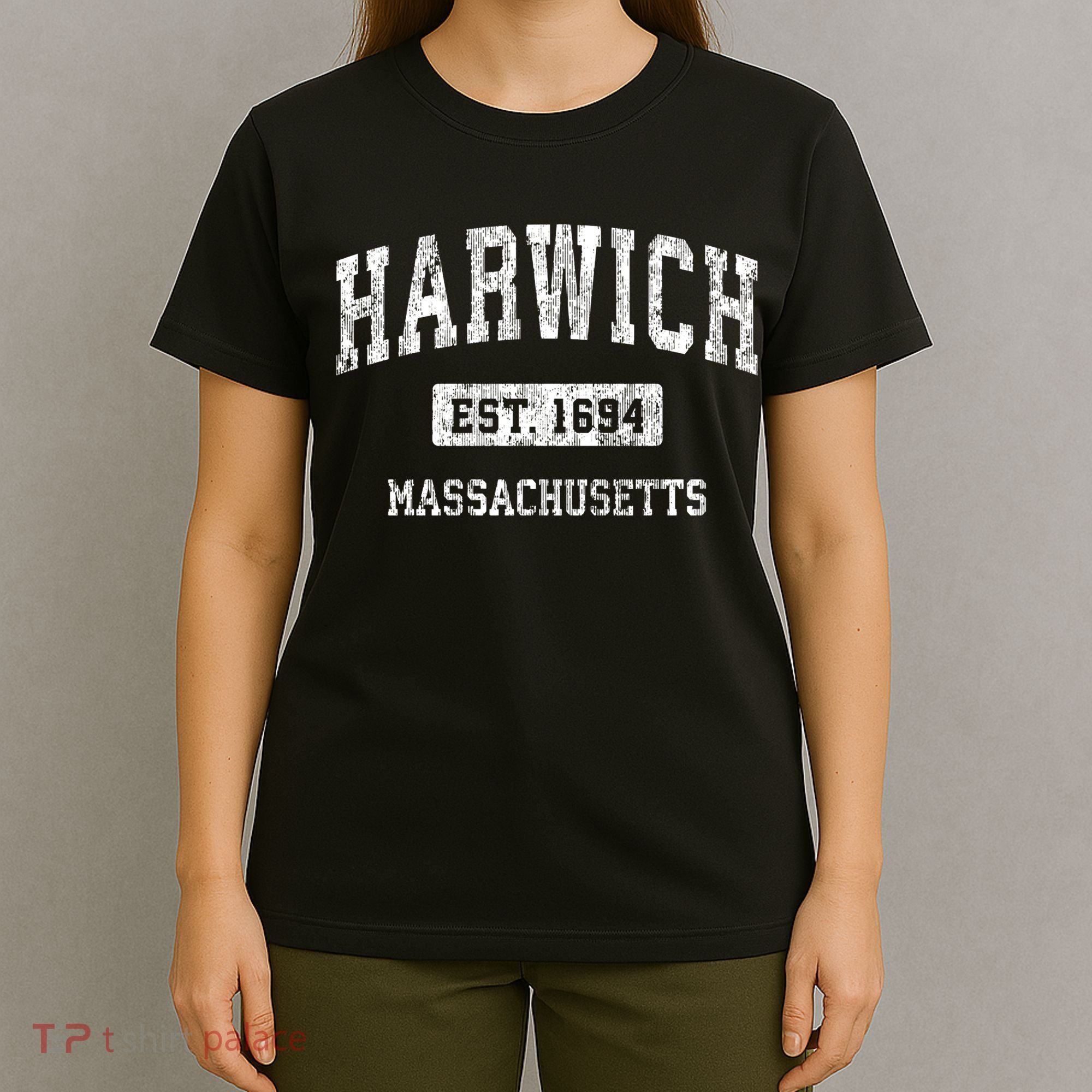 Harwich Massachusetts Ma Vintage Sports Established T-Shirt