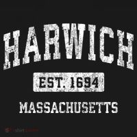 Harwich Massachusetts Ma Vintage Sports Established T-Shirt thumb 7