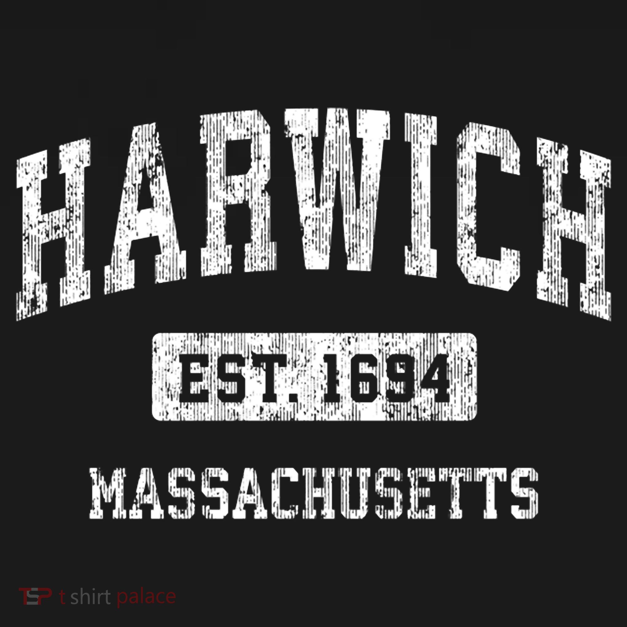 Harwich Massachusetts Ma Vintage Sports Established T-Shirt