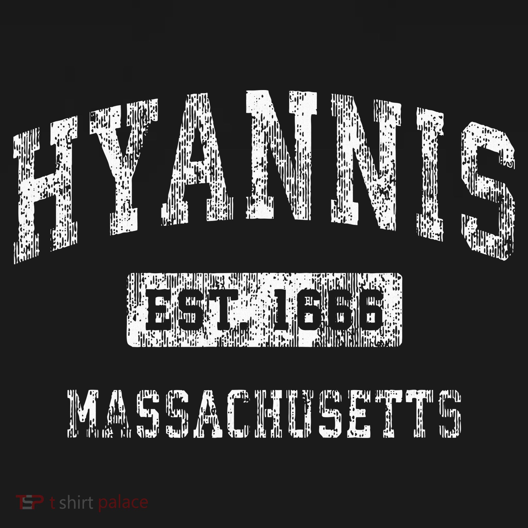 Hyannis Massachusetts Ma Vintage Established Sports T-Shirt