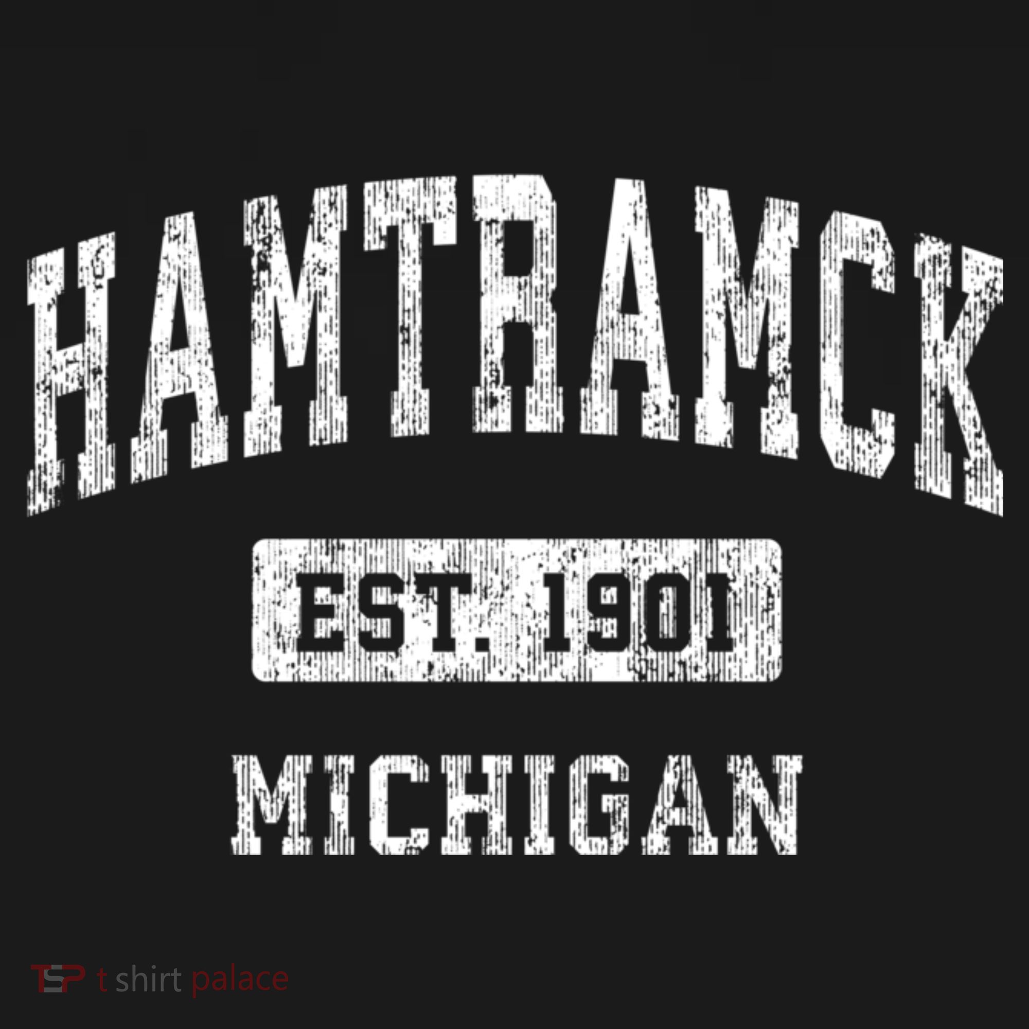 Hamtramck Michigan Mi Vintage Sports T-Shirt