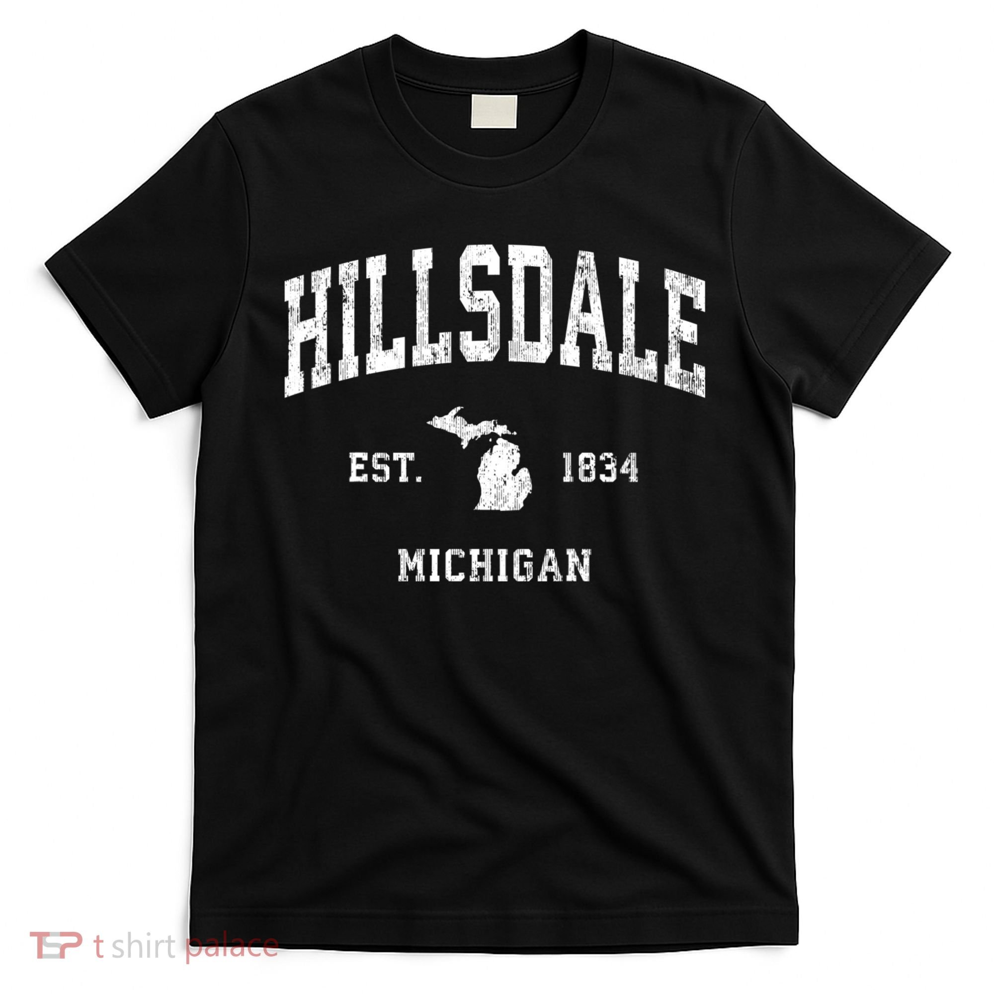 Hillsdale Michigan Mi Vintage Athletic T-Shirt