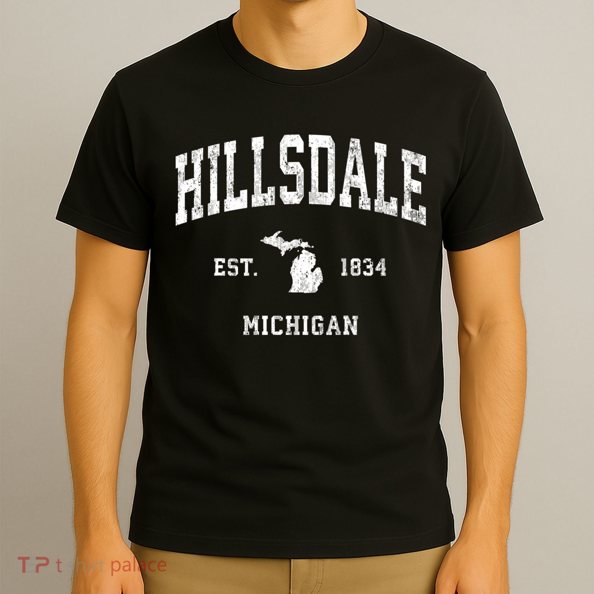 Hillsdale Michigan Mi Vintage Athletic T-Shirt