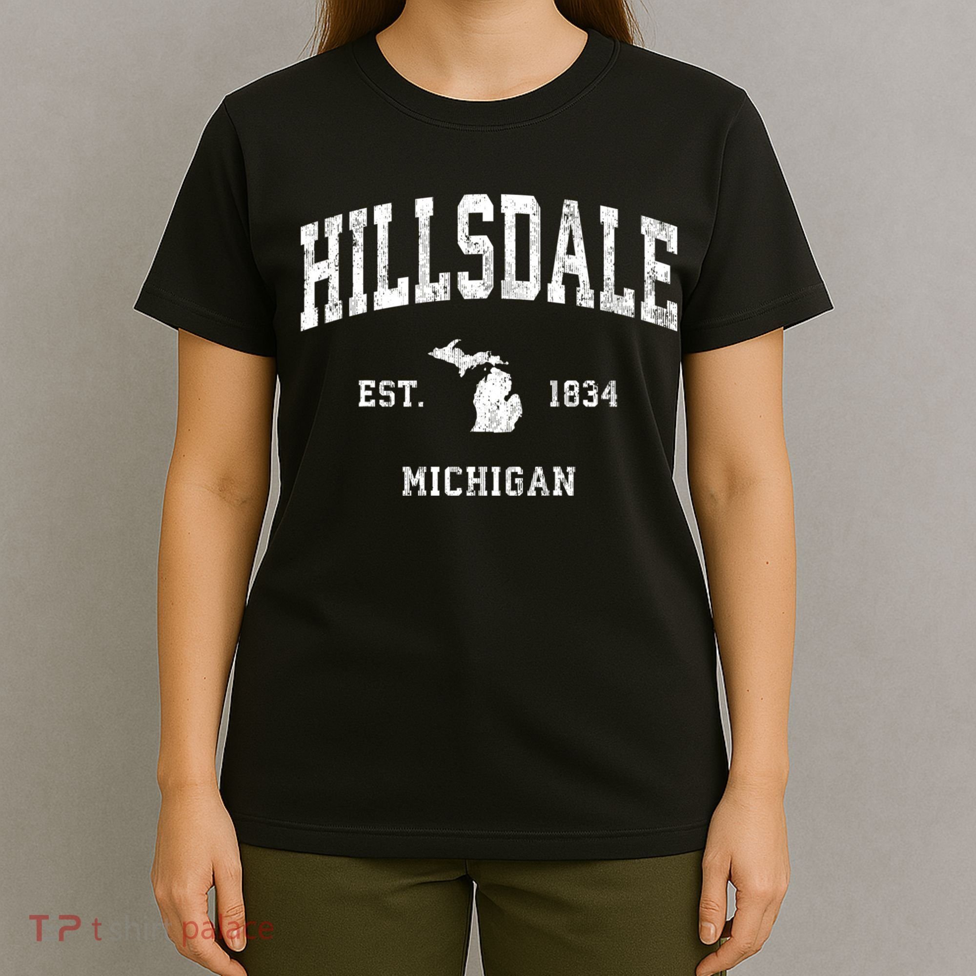 Hillsdale Michigan Mi Vintage Athletic T-Shirt